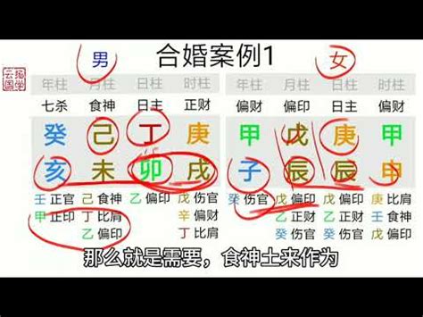 八字合盤